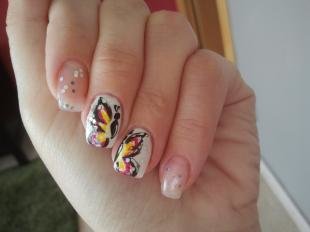 Маникюр с бабочками, рисунки бабочек на ногтях